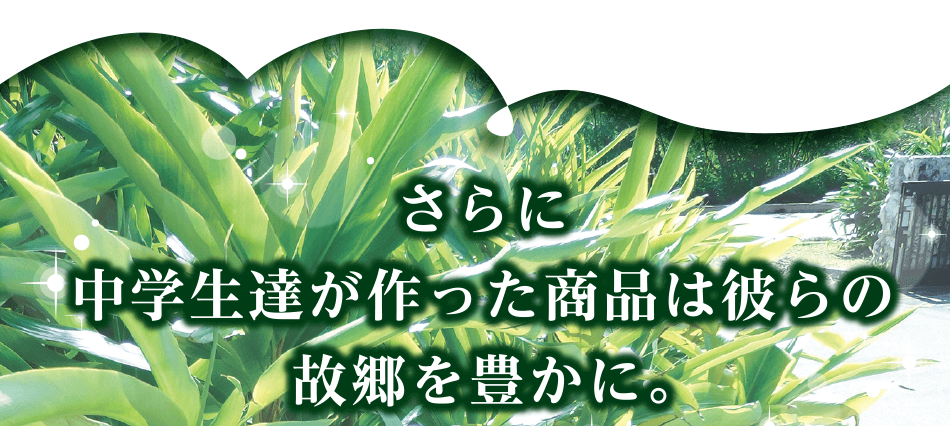 さらに中学生達が作った商品は彼らの故郷を豊かに。