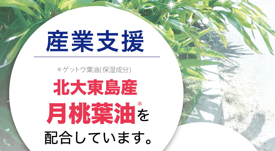 産業支援｜北大東島産 月桃葉油を配合しています。＊ゲットウ葉油(保湿成分)