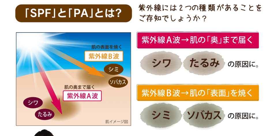 「SPF」と「PA」とは? 紫外線には2つの種類があることをご存知でしょうか？ 紫外線A波→肌の「奥」まで届く[シワ・たるみの原因に。]紫外線B波→肌の「表面」を焼く[シミ・ソバカスの原因に。]