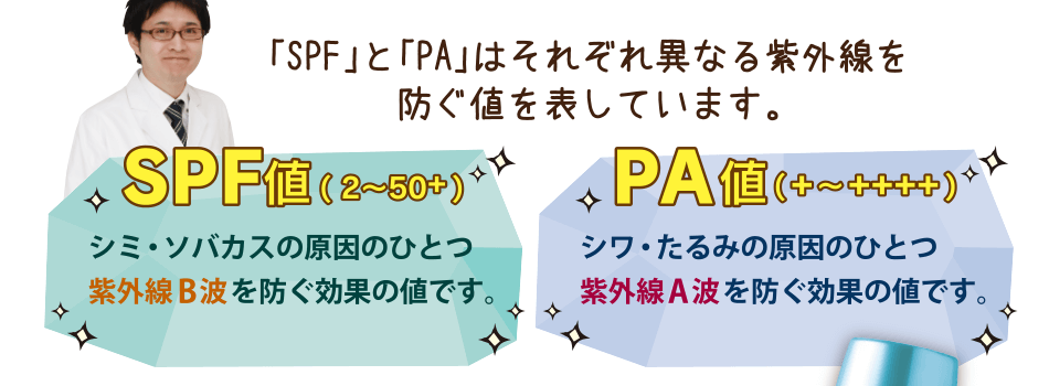 「SPF」と「PA」はそれぞれ異なる紫外線を防ぐ値を表しています。[SPF値]シミ・ソバカスの原因のひとつ紫外線B波を防ぐ効果の値です。[PA値]シワ・たるみの原因のひとつ紫外線A波を防ぐ効果の値です。