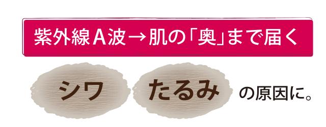 紫外線A波→肌の「奥」まで届く[シワ・たるみの原因に。]